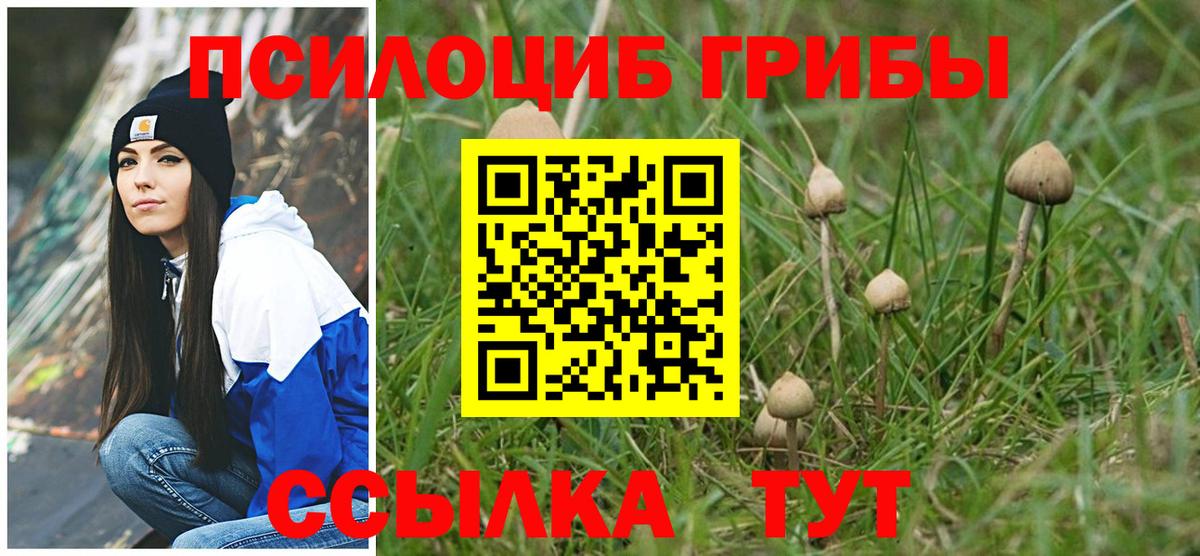 Псилоцибиновые грибы Cubensis  Вход с VPN  Родники 