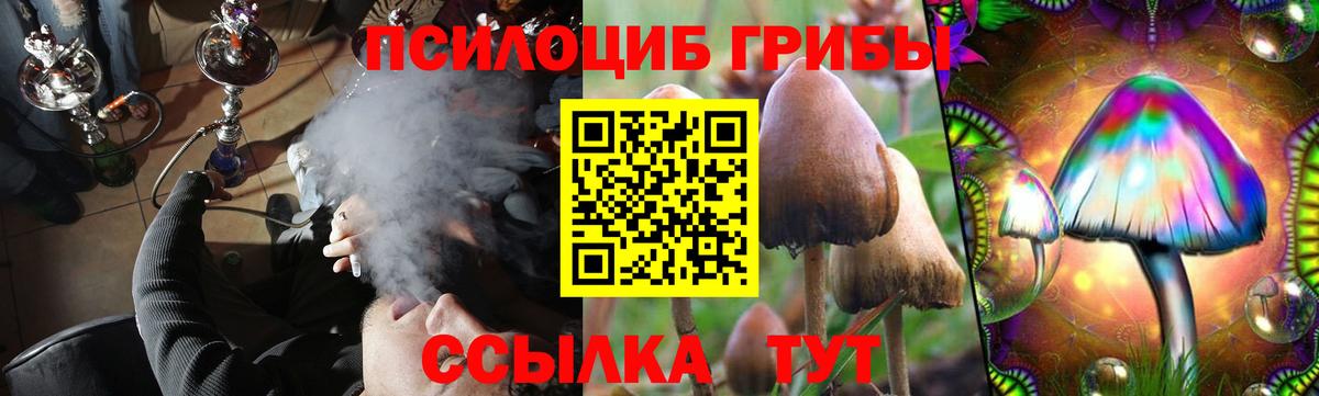 Галлюциногенные грибы MAGIC MUSHROOMS Родники